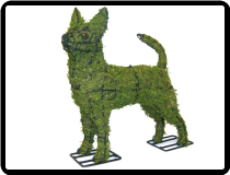 Chihuahua Animal Topiary Frame