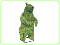 Bear, Standing Animal Topiary Frame