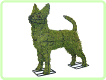 Chihuahua Animal Topiary Frame