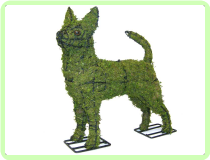 Chihuahua Animal Topiary Frame Chihuahua Animal Topiary Frame