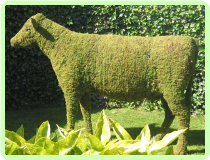 Cow Animal Topiary Frame