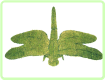 Dragonfly Insect Topiary Frame