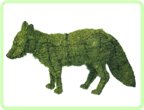 Fox Animal Topiary Frame