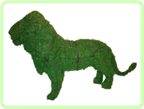 Lion Animal Topiary Frame (Mossed) 25x37x12