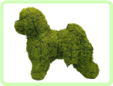 Bichon Frise Animal Topiary Frame (Mossed)