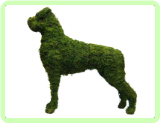 Boxer Animal Topiary Frame (Mossed) 31"x 34"x 10"