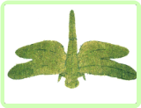 Dragonfly Insect Topiary Frame