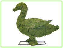 Duck Animal Topiary Frame
