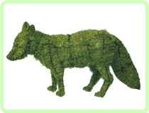 Fox Animal Topiary Frame