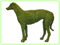 Greyhound Animal Topiary Frame 37" x 45"x 11"