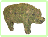 Pig Animal Topiary Frame