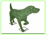 Pointer Animal Topiary Frame Mossed 32" x 50" x 13"