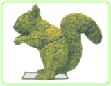 Squirrel Animal Topiary Frame