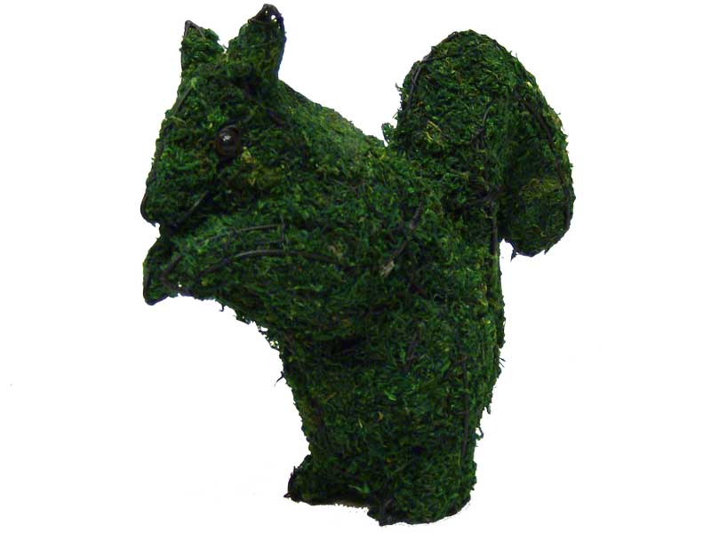 Squirrel Animal Topiary Frame